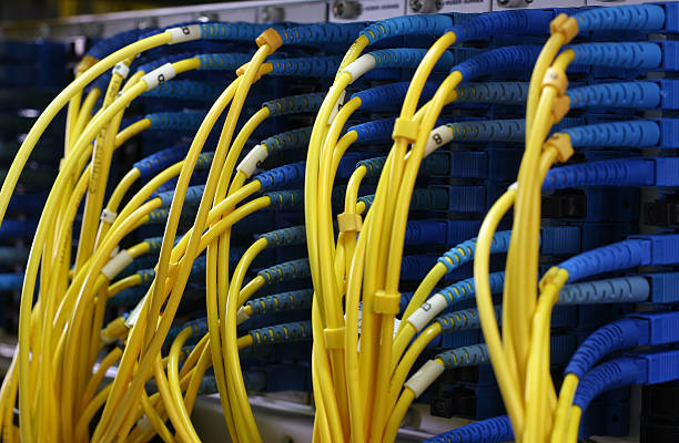 Ep Rosen Wire 20+ Rosen Wire Stock Photos, Pictures & Royalty-Free Images - iStock