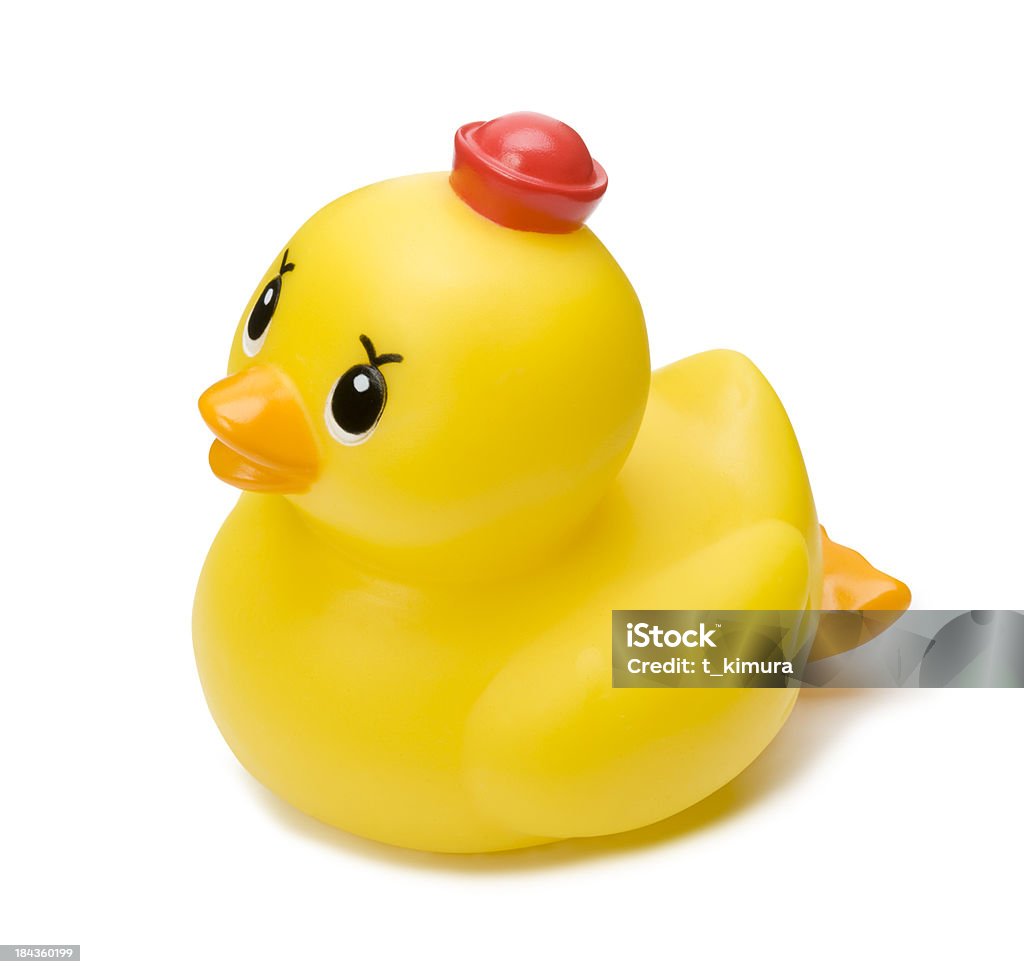 Rubber Duck Rubber Duck on white.with clipping path. Animal Stock Photo