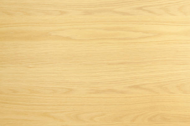 Wooden hardwood floor textured background Wooden hardwood floor textured background

[url=http://www.istockphoto.com/search/lightbox/9327742 t=blank]★Lightbox: Textures & Backgrounds[/url]

[url=/file_closeup.php?id=15301887][img]/file_thumbview_approve.php?size=1&id=15301887[/img][/url] [url=/file_closeup.php?id=15705675][img]/file_thumbview_approve.php?size=1&id=15705675[/img][/url] [url=/file_closeup.php?id=18696656][img]/file_thumbview_approve.php?size=1&id=18696656[/img][/url] [url=/file_closeup.php?id=17435533][img]/file_thumbview_approve.php?size=1&id=17435533[/img][/url] [url=/file_closeup.php?id=22917924][img]/file_thumbview_approve.php?size=1&id=22917924[/img][/url] [url=/file_closeup.php?id=17088822][img]/file_thumbview_approve.php?size=1&id=17088822[/img][/url] [url=/file_closeup.php?id=17548181][img]/file_thumbview_approve.php?size=1&id=17548181[/img][/url] [url=/file_closeup.php?id=17147535][img]/file_thumbview_approve.php?size=1&id=17147535[/img][/url] [url=/file_closeup.php?id=18848567][img]/file_thumbview_approve.php?size=1&id=18848567[/img][/url] [url=/file_closeup.php?id=18859015][img]/file_thumbview_approve.php?size=1&id=18859015[/img][/url] [url=/file_closeup.php?id=18031129][img]/file_thumbview_approve.php?size=1&id=18031129[/img][/url]  [url=/file_closeup.php?id=18696774][img]/file_thumbview_approve.php?size=1&id=18696774[/img][/url] [url=/file_closeup.php?id=20477602][img]/file_thumbview_approve.php?size=1&id=20477602[/img][/url]

[url=http://www.istockphoto.com/search/lightbox/10265958]#Lightbox: Wooden Textures +++ [/url]
[url=http://www.istockphoto.com/search/lightbox/10265958 t=blank][img]http://farm7.staticflickr.com/6236/6351745497_7de35751a2_o.jpg[/img][/url]
[url=http://www.istockphoto.com/search/lightbox/10265338]#Lightbox: Paper Textures +++ [/url]
[url=http://www.istockphoto.com/search/lightbox/10265338 t=blank][img]http://farm9.staticflickr.com/8257/8670396265_a7734fdabe_o.jpg[/img][/url] hardwood tree stock pictures, royalty-free photos & images