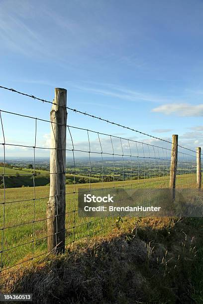 Photo libre de droit de Le Shropshire Paysage banque d'images et plus d'images libres de droit de Angleterre - Angleterre, Arbre, Blanc