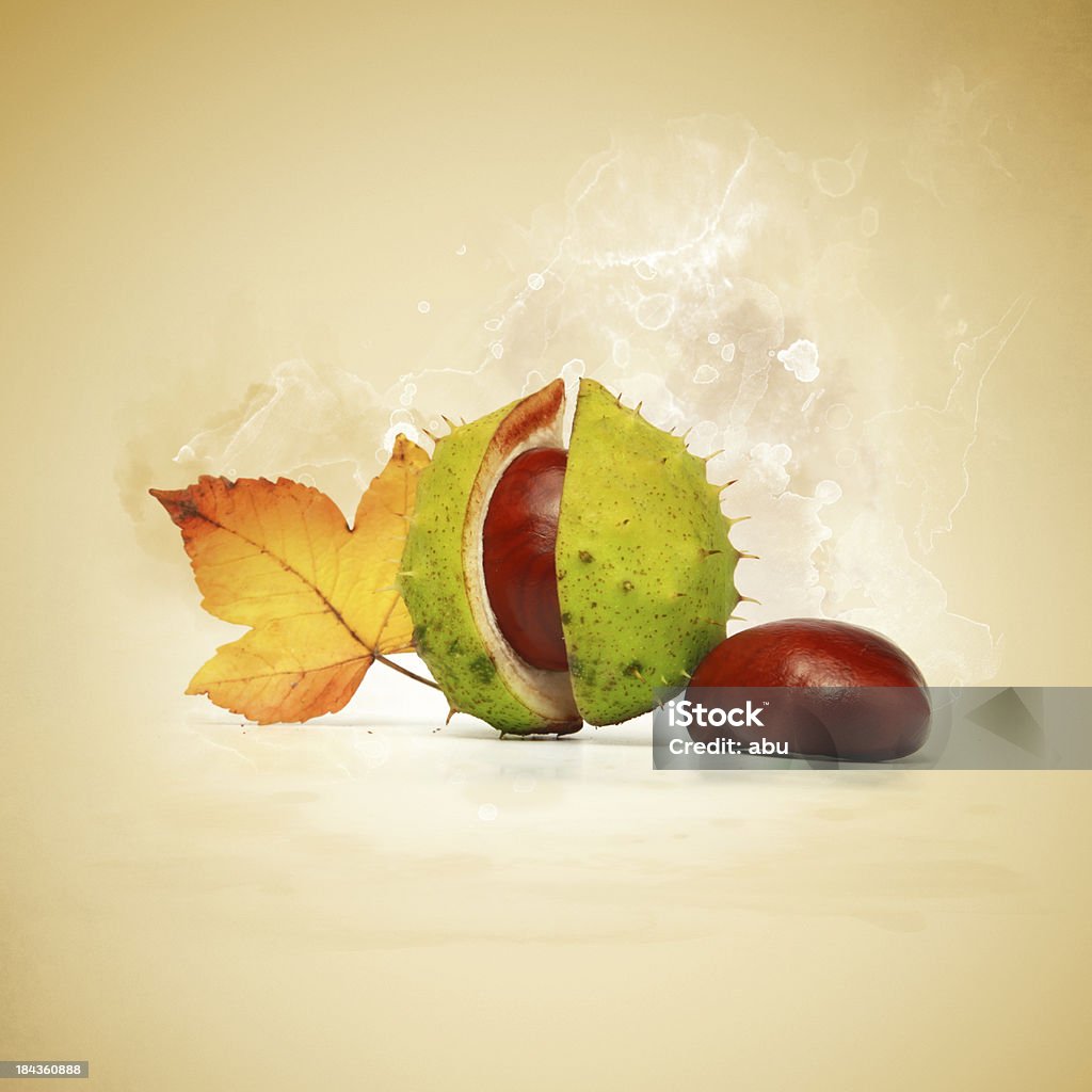 I colori d'autunno - Foto stock royalty-free di Autunno