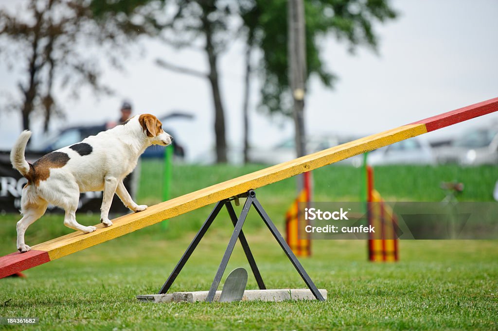 Klettern bis - Lizenzfrei Agility Stock-Foto