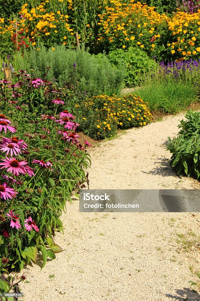 Herb garden - Lizenzfrei Kräutermedizin Stock-Foto