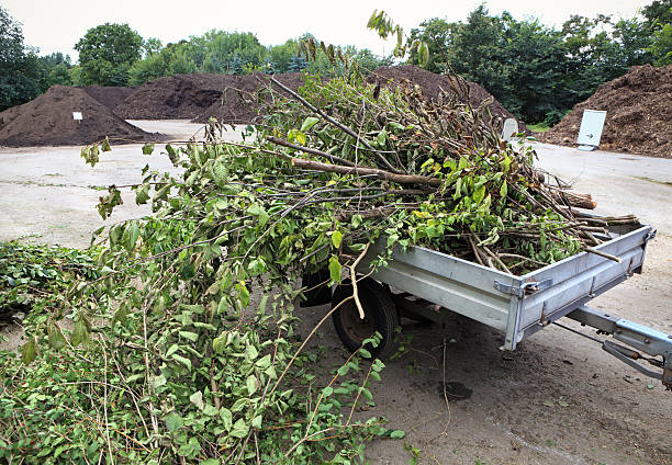 istock Trailer with branches at the compost depot 184361757