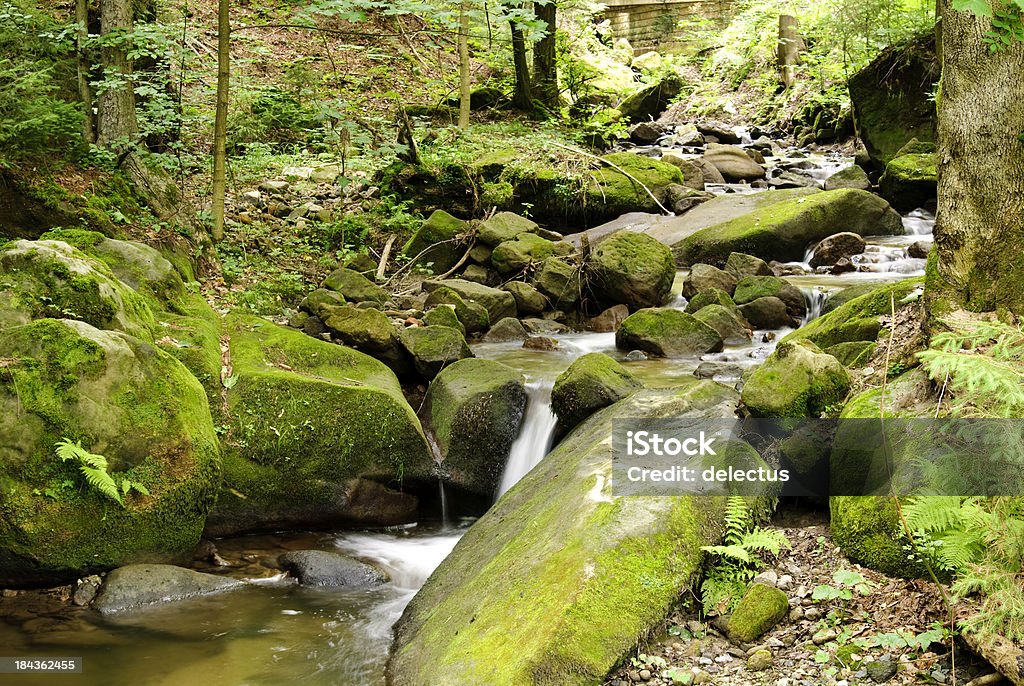 River valley in der National Park - Lizenzfrei Anhöhe Stock-Foto