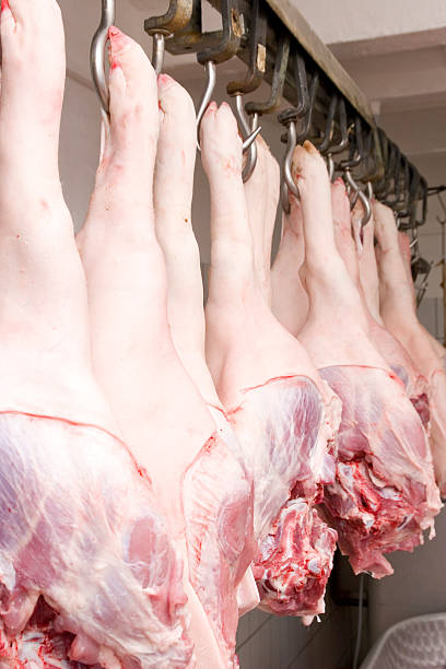 cerdo de la cadera - butcher butchers shop slaughterhouse hook fotografías e imágenes de stock
