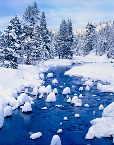 Truckee River Near Lake Tahoe, California.