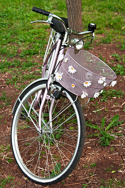 istock Vintage pink bicycle with basket and daisies lined on tree 184363017