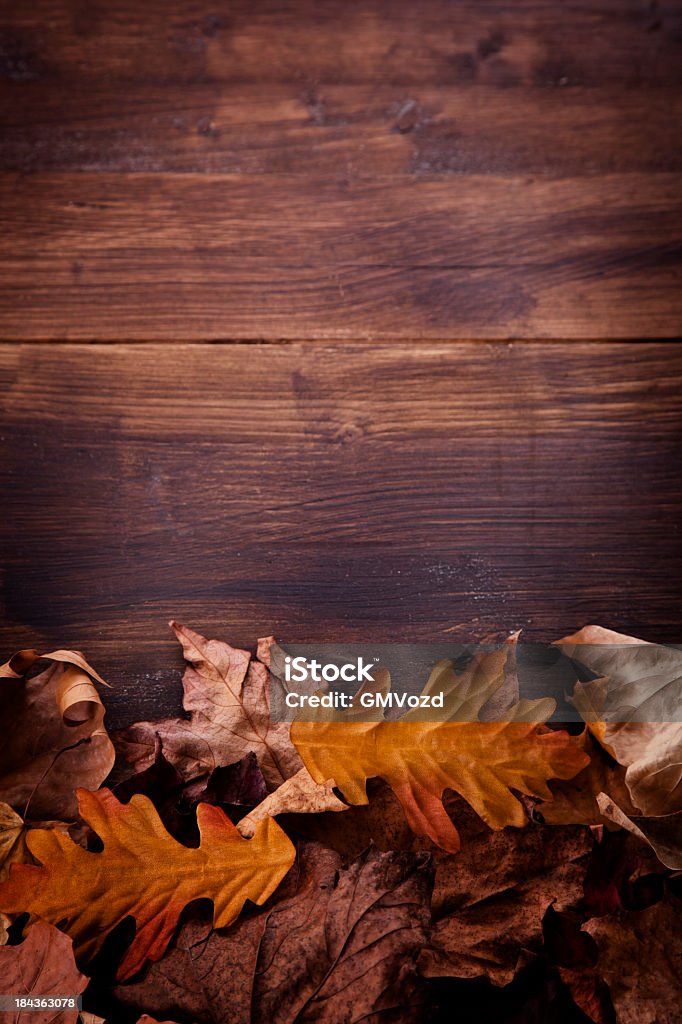 Decoração de outono - Foto de stock de Colorido royalty-free