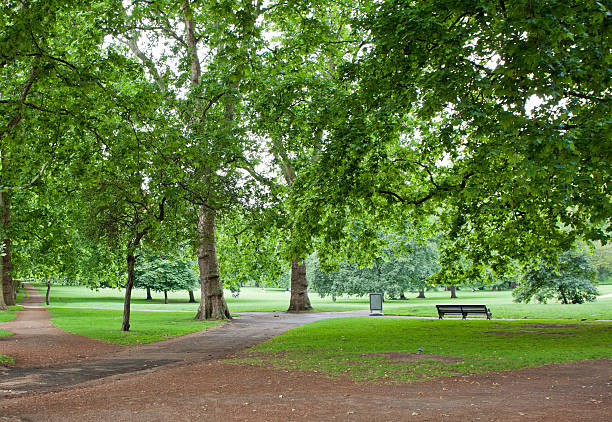 Green Park in London