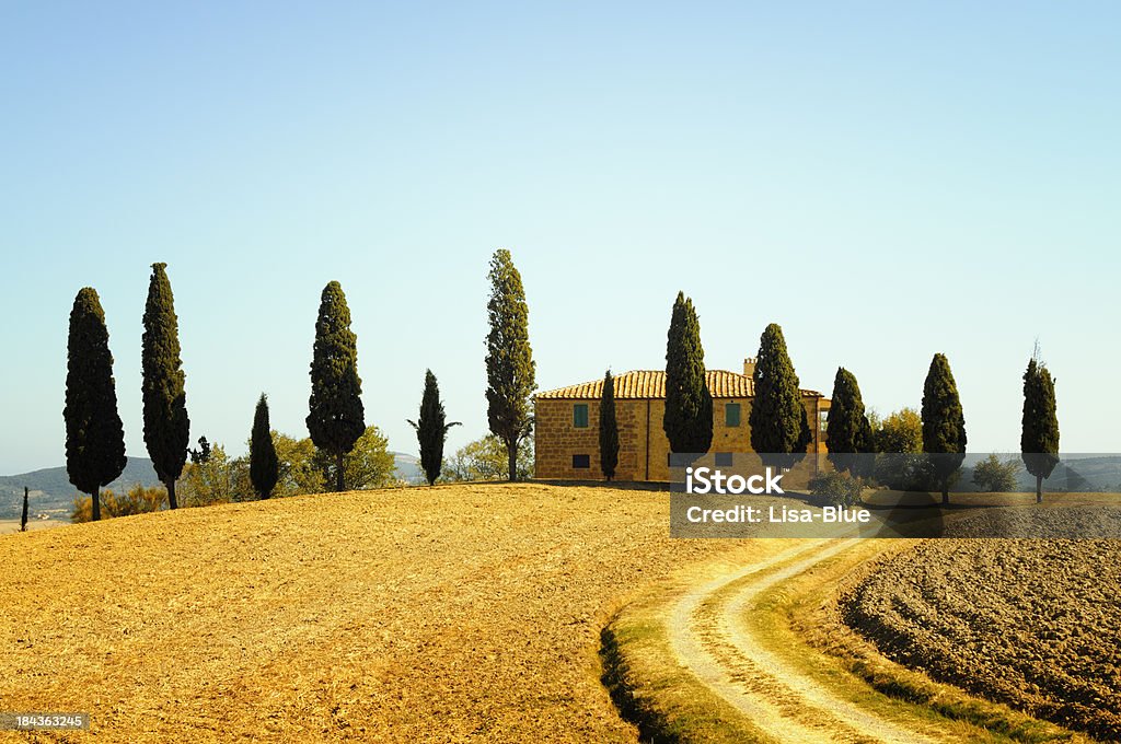 Granja y Cypress Trees - Foto de stock de Italia libre de derechos