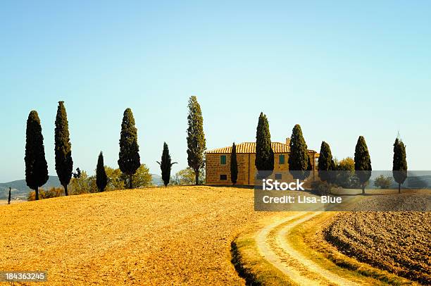 Granja Y Cypress Trees Foto de stock y más banco de imágenes de Italia - Italia, Toscana, Escena rural