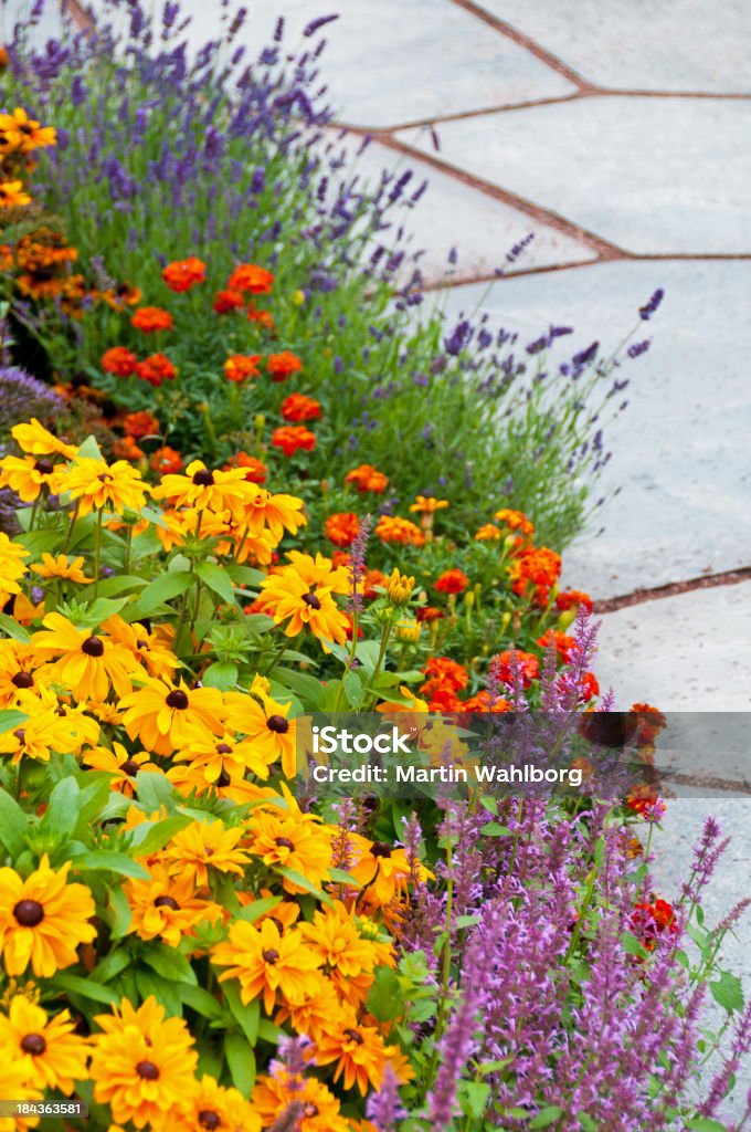 Flowerbed und slates - Lizenzfrei Lavendel Stock-Foto