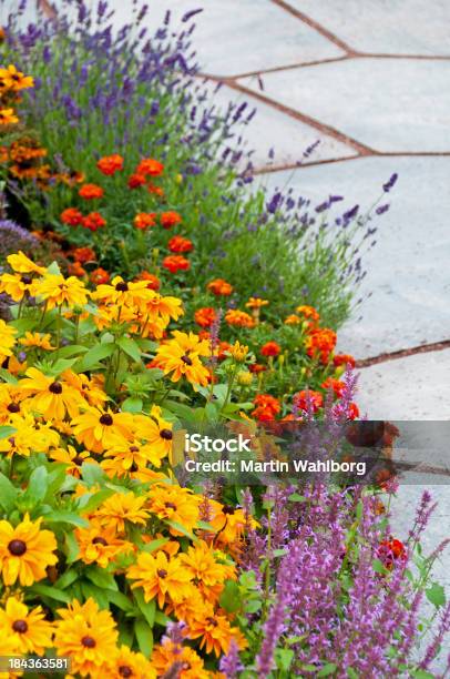 Flowerbed Und Slates Stockfoto und mehr Bilder von Lavendel - Lavendel, Studentenblume, Baum