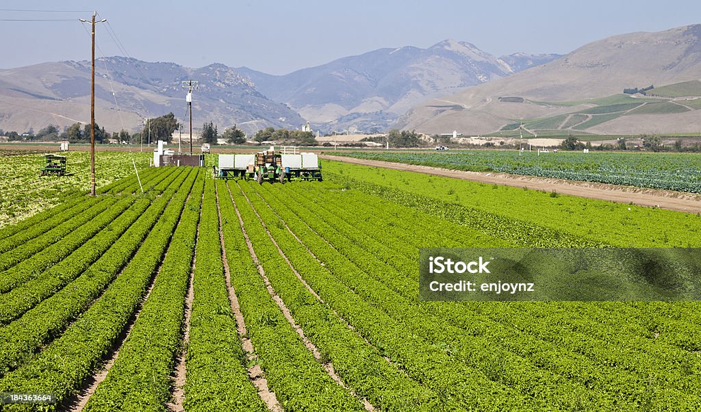 La agricultura - Foto de stock de Agricultura libre de derechos