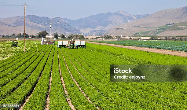 Foto de Agricultura e mais fotos de stock de Agricultura - Agricultura, Ajardinado, Califórnia