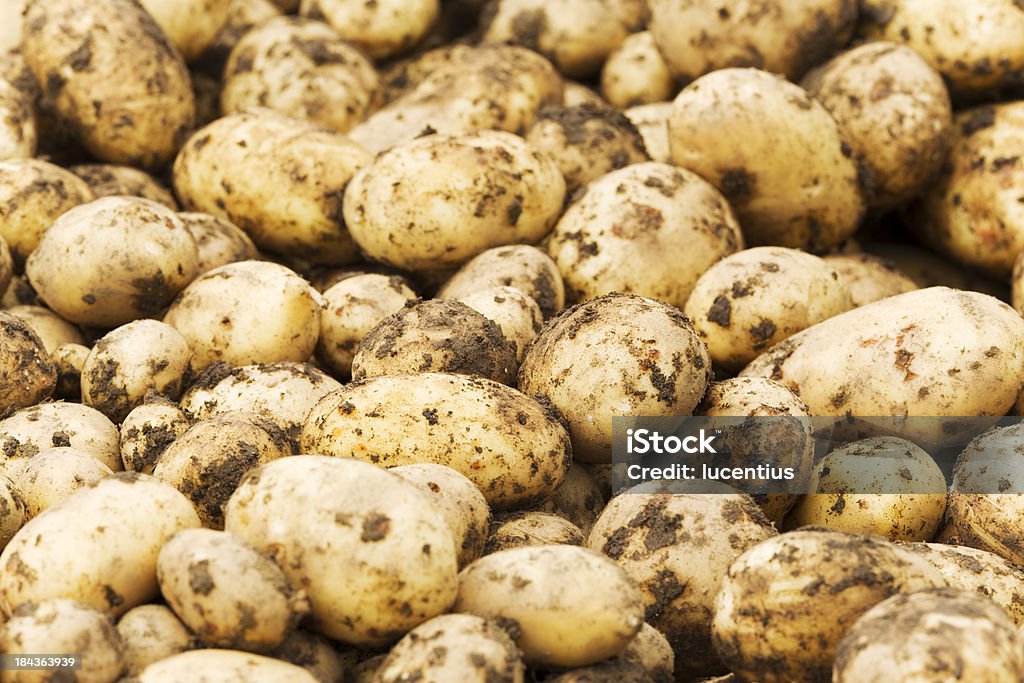 Neue Kartoffeln Hintergrund - Lizenzfrei Ernten Stock-Foto