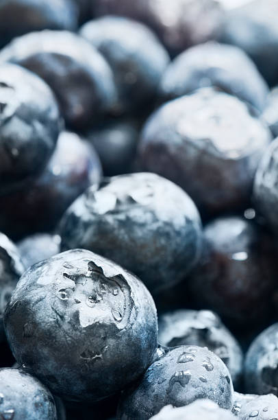 istock Pile of fresh blueberries with selective focus filling frame 184363951