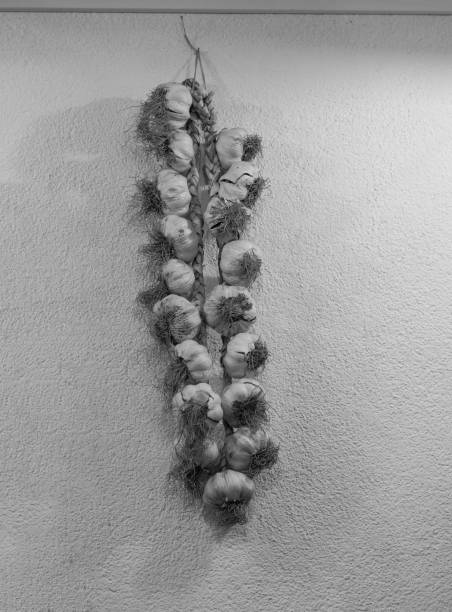 dried garlic on ropes against the wall