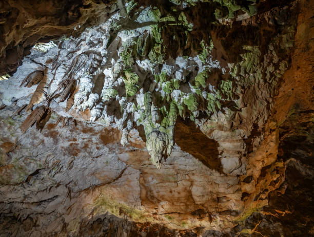 istock The cave Postojna Cave in Slovenia 1843639933
