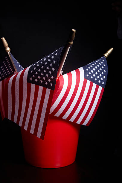 istock US Flags in Red Pail, Patriotism, American 184364046