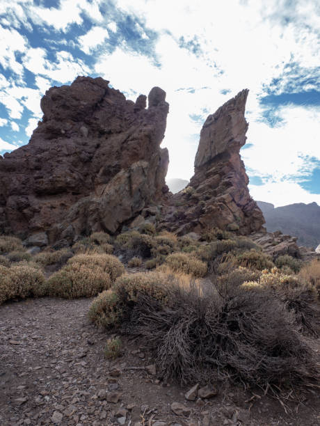 istock Landscape of Teide National Park 1843642015