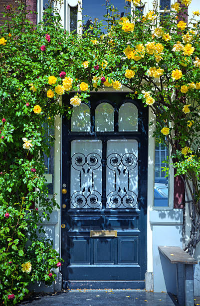 istock Beautiful Townhouse Entrance 184364401