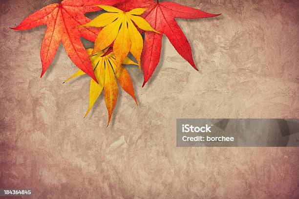 Outono Fundo - Fotografias de stock e mais imagens de Abstrato - Abstrato, Amarelo, Antigo