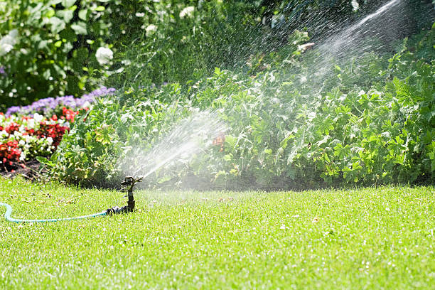 istock Watering the Garden with a Sprinkler 184365034