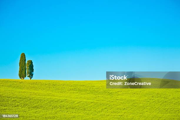 Outdoor Na Toscânia Colina Verde E Árvores No Verão Sol Dia - Fotografias de stock e mais imagens de Colorido
