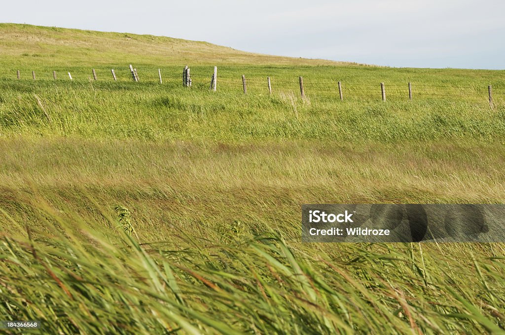 Prairie herbe et les collines - Photo de Poteau en bois libre de droits