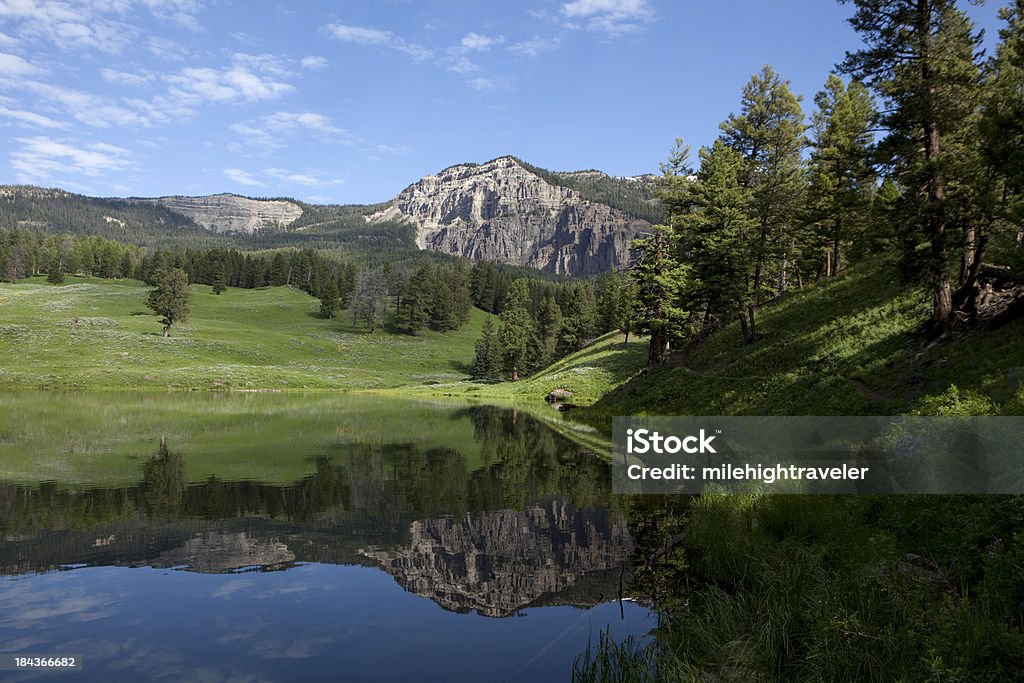 See Trout Lake Mountain Reflektionen im Yellowstone National Park - Lizenzfrei Yellowstone-Nationalpark Stock-Foto