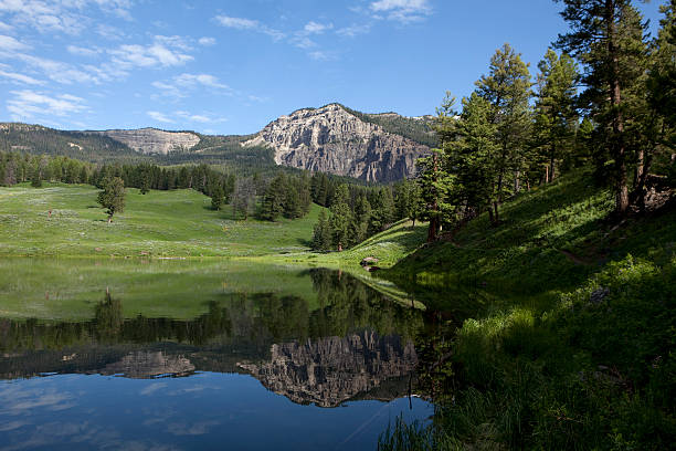 Trout Lake Mountain Reflections in Yellowstone National Park "A short hike leads to a small lake where native trout spawn. It is Known as Trout Lake, which sits in the Lamar Valley of the Absoroka mountains in Yellowstone National Park, the water is also home to river otters." trout lake stock pictures, royalty-free photos & images