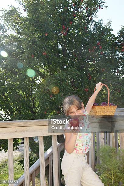 Niña Retiro Manzanas Foto de stock y más banco de imágenes de 6-7 años - 6-7 años, Agarrar, Aire libre