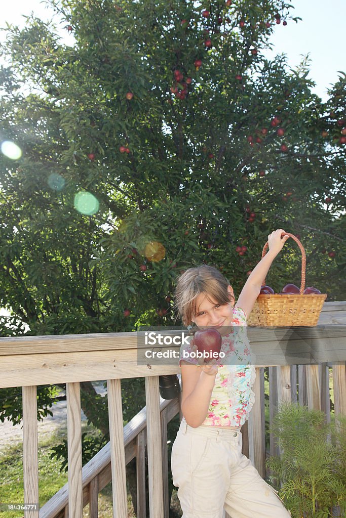 Dziewczynka wybór jabłka - Zbiór zdjęć royalty-free (6-7 lat)