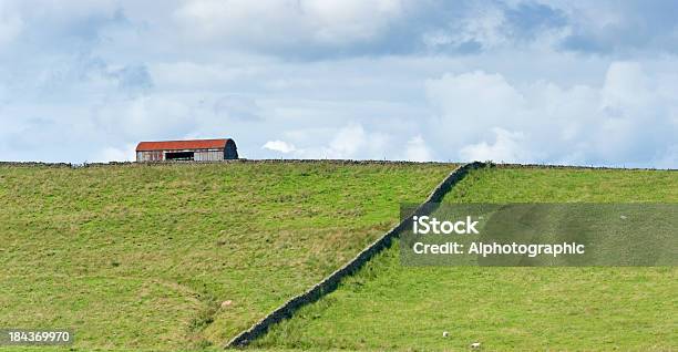 Northumberland Natureza - Fotografias de stock e mais imagens de Afloramento - Afloramento, Agricultura, Campo agrícola