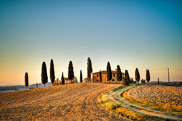 ferme traditionnelle sur la toscane hill et de cyprès au coucher du soleil - tuscan cypress photos et images de collection