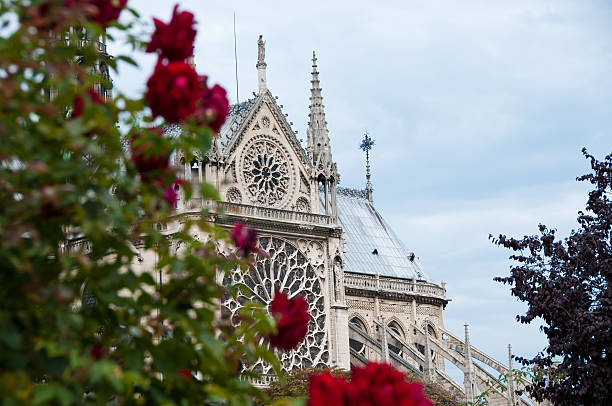 rose window, die kathedrale von notre dame - rose window window church built structure stock-fotos und bilder