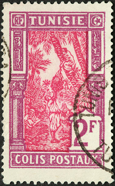 istock coconut harvesting on an old Tunisian postage stamp 184370473