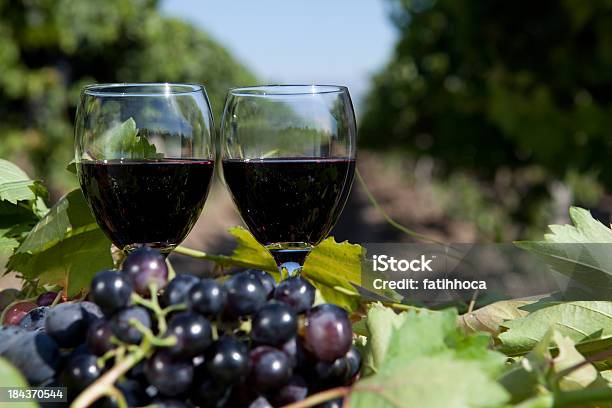 Preto De Uva E Vinho - Fotografias de stock e mais imagens de Agricultura - Agricultura, Alimentação Saudável, Antioxidante