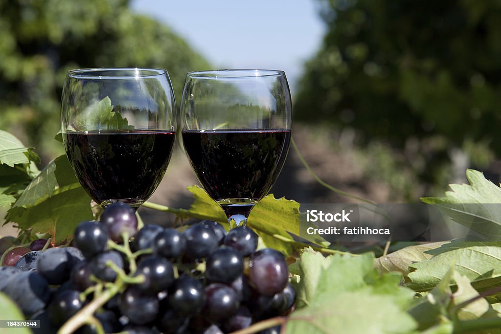 Черный виноград и вино - Стоковые фото Алкоголь - напиток роялти-фри