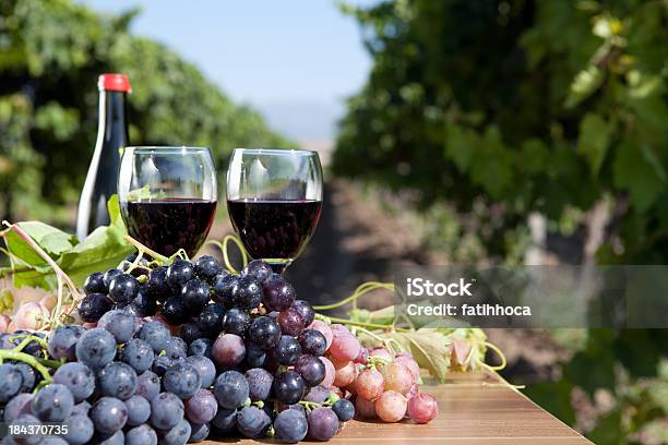 Uva Vermelha E Vinho - Fotografias de stock e mais imagens de Agricultura - Agricultura, Alimentação Saudável, Antioxidante