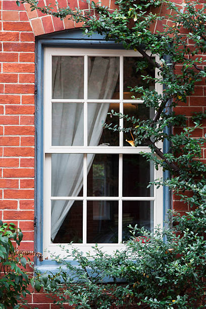 Vine Covered Window and Brick Wall stock photo
