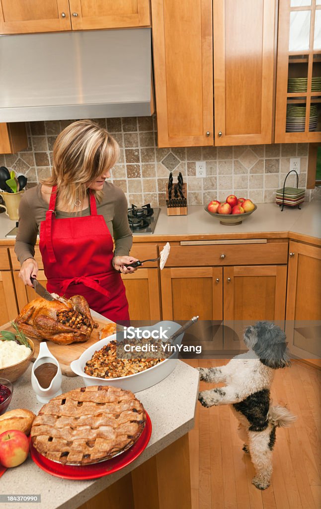 Pet Dog Begging for Thanksgiving Turkey from Woman in Kitchen A woman preparing Thanksgiving dinner with turkey, stuffing, mashed potatoes, gravy, and apple pie in home kitchen. An appreciating  hungry pet dog begs for food, up on its hind legs anticipating its share. The holiday meal is a traditional feast in the USA and is a staple of American culture. Thanksgiving - Holiday Stock Photo