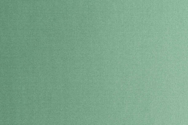 istock Fine authentic silk fabric wallpaper texture pattern background in shiny grass green 1843717308