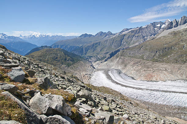 o grande glaciar aletsch, wallis, suíça - swisse imagens e fotografias de stock