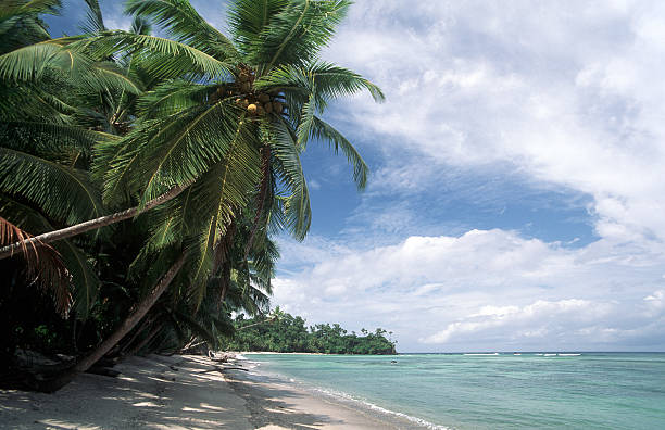 istock India, Nicobar Islands, Nancowry Island, empty beach. 184372168