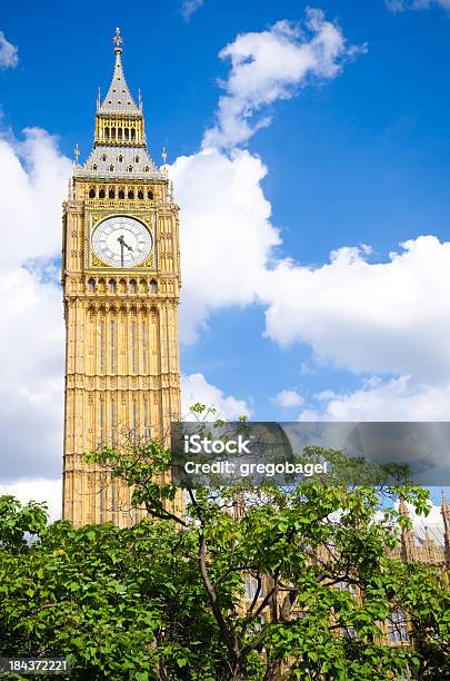 Torre De Relógio Big Ben Com Árvores No Parlamento Londres - Fotografias de stock e mais imagens de Ao Ar Livre