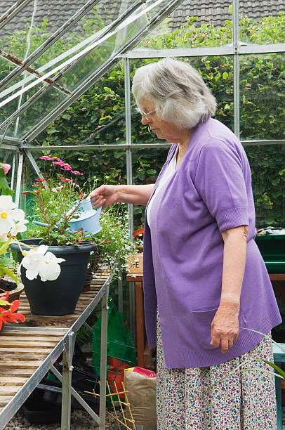 istock Senior woman in greenhouse 184372429