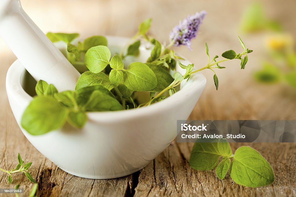Herbes de Provence - Royalty-free Fitoterapia Foto de stock